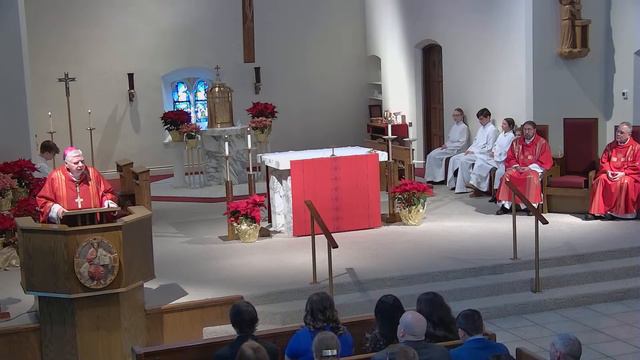 Solemnity of St. Agnes & Confirmation - 21 Jan 2024 смотреть онлайн