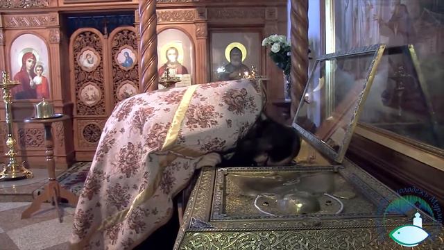 Поездка в Введено Оятский женский монастырь 2012г смотреть онлайн
