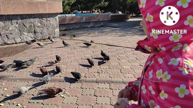 возвращение домой