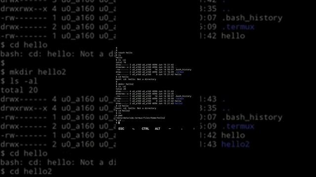 Termux environment setup | learn linux, python and cybersecurity in Android phone смотреть онлайн