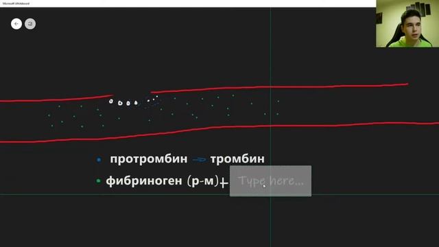 BioFamily: Механизм свертывания крови за 5 минут