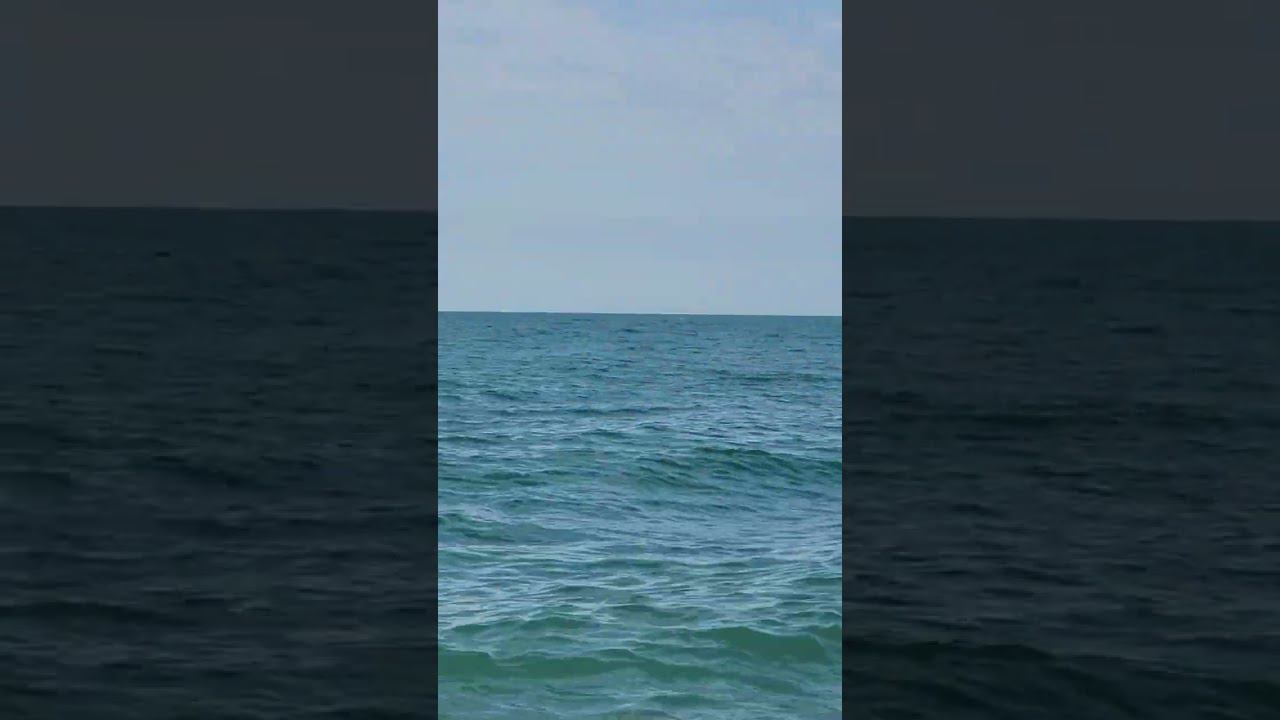 как думаете, это рыбаки? смотреть онлайн