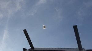 Голуби г.Мелитополь. Дуков Владимир