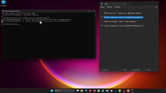 SSD DİSK TRIM KOMUTU NEDİR? TRIM NASIL AKTİF EDİLİR? смотреть онлайн