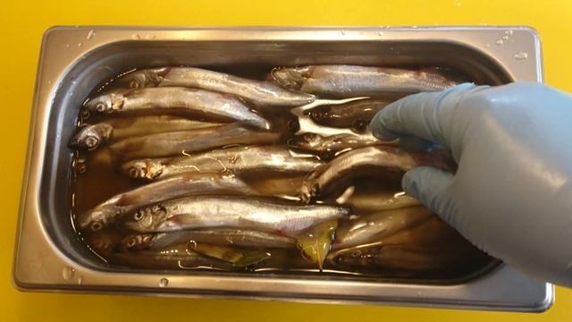 МОЙВА ПРОВЕСНАЯ /capelin is suspended смотреть онлайн