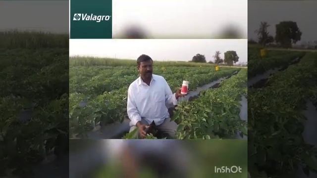 #megafol Results In Valagro