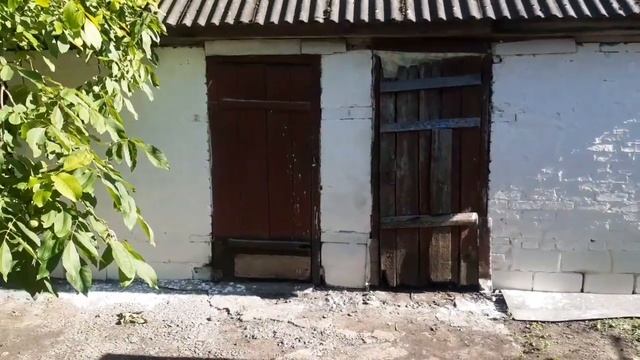 Шпаклевка стен своими руками