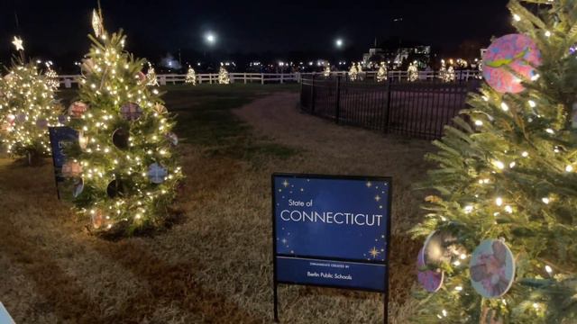 National Christmas Tree | Washington D. C. смотреть онлайн