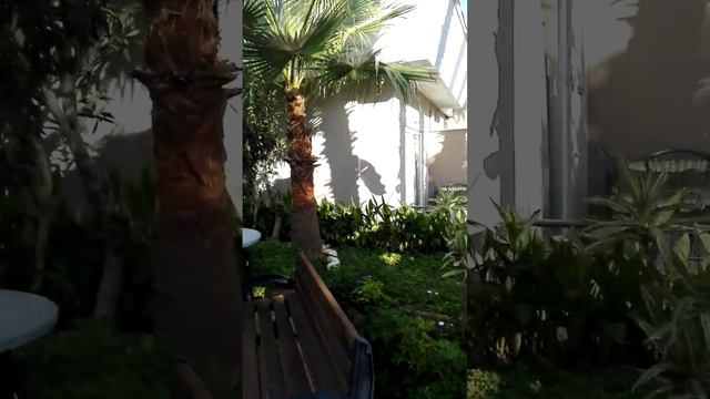 Club Mermaid Village 4*