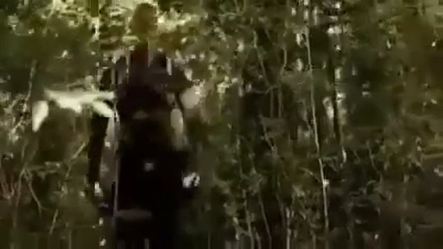 DJ MACK KILL ORDER FULL MOVIE IMETAFSIRIWA KISWAHILI #djmack смотреть онлайн