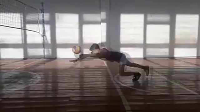 Волейболная рыбка, ласточка