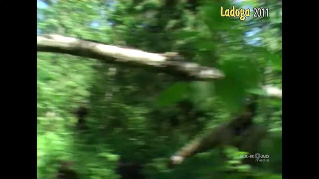 ЛАДОГА-трофи 2011-6 / история марафона смотреть онлайн