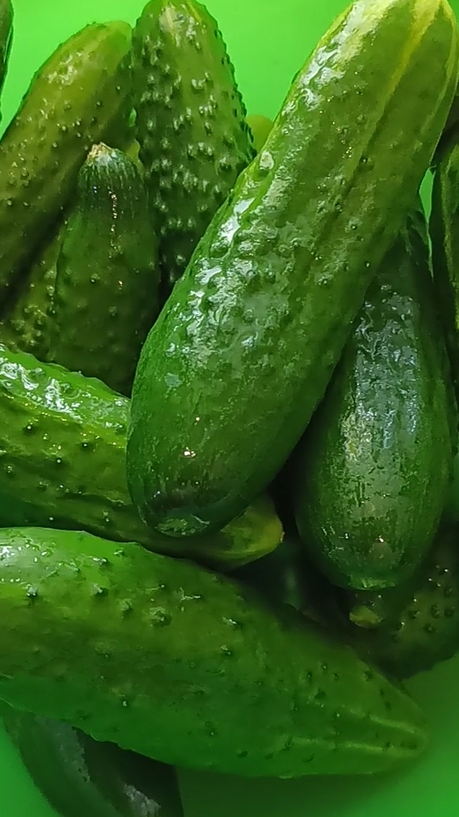 Огурцы зимой больше не покупаю! смотреть онлайн