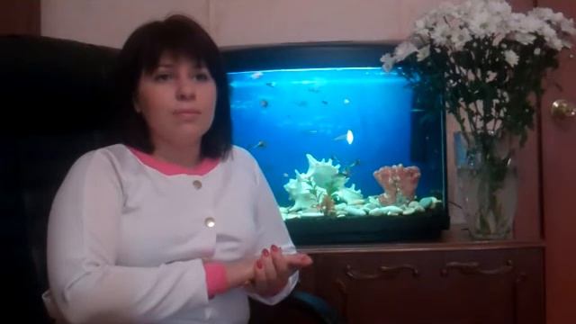 Болтология об образовании смотреть онлайн