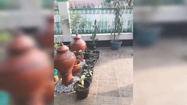 BUNGA GELOMBANG CINTA | KOLEKSI ANTHURIUM LANGKA | HARGA ANTHURIUM BERAPA 2020??