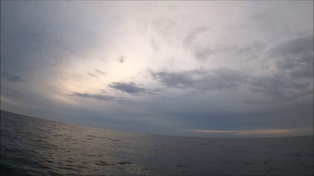 Брак - биологическое самоубийство мужчины, смотреть онлайн