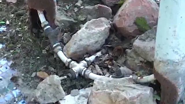 Морского фонтана с рыбками не будет смотреть онлайн