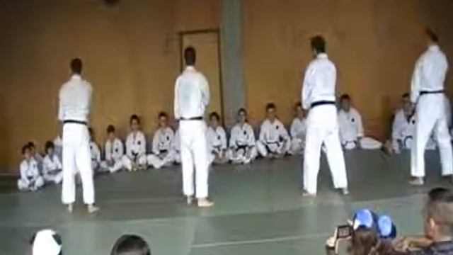 Exhibicion Karate Salon Manga 2011 Murcia. Parte III смотреть онлайн