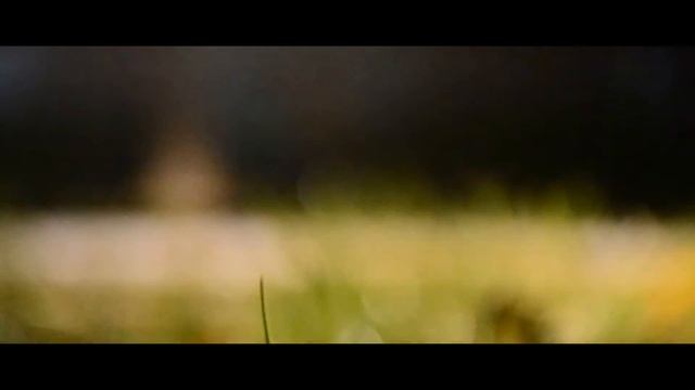 Nikon D3100 | Cinematic video | смотреть онлайн