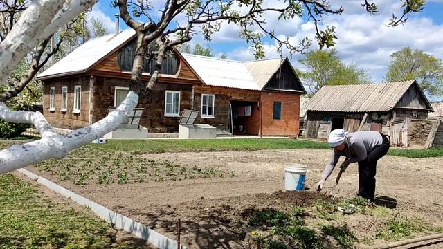 деревнские хлопоты весной/клубника/цветение сада