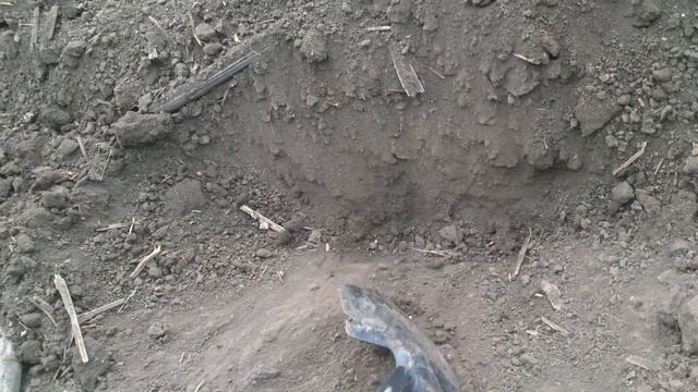 Посев озимой пшеницы 89277800305 смотреть онлайн