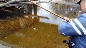 Сахалинская рыбалка