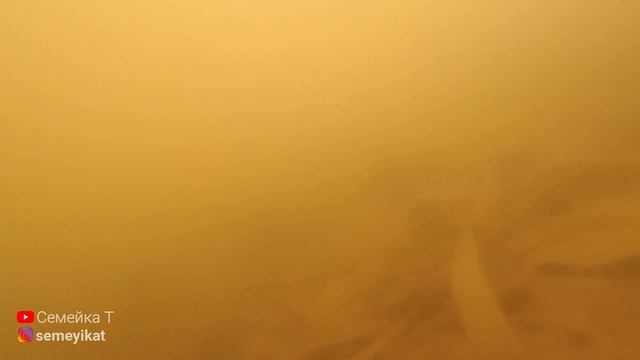 Пережила ли рыба зиму в пруду на участке/Ищем рыбу в своём пруду. Пруд на даче с рыбой и раками смотреть онлайн