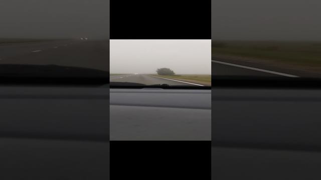 дельфин.mp4 смотреть онлайн