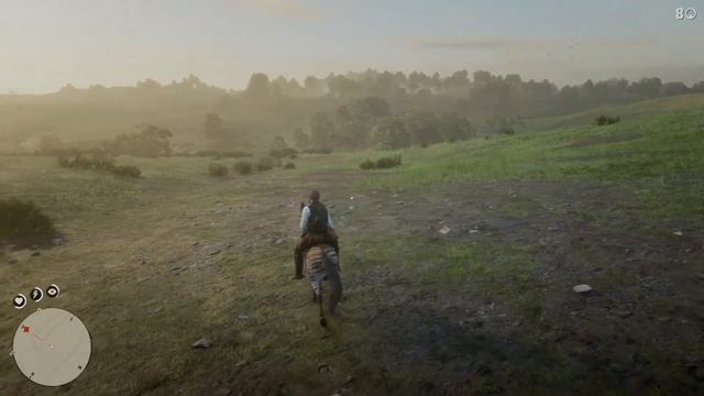 Red Dead Redemption 2 Bug - You spin me right round смотреть онлайн