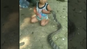 Будущий укротитель змей🐍