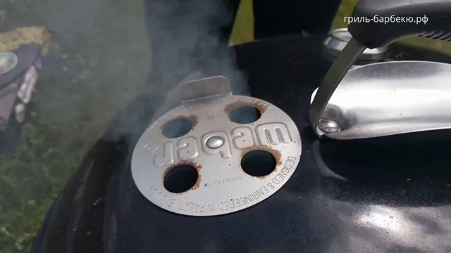 Как готовить на гриле: Зачем на гриле заслонки смотреть онлайн