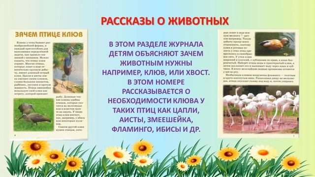 Экологический журнал для детей "Свирелька" смотреть онлайн