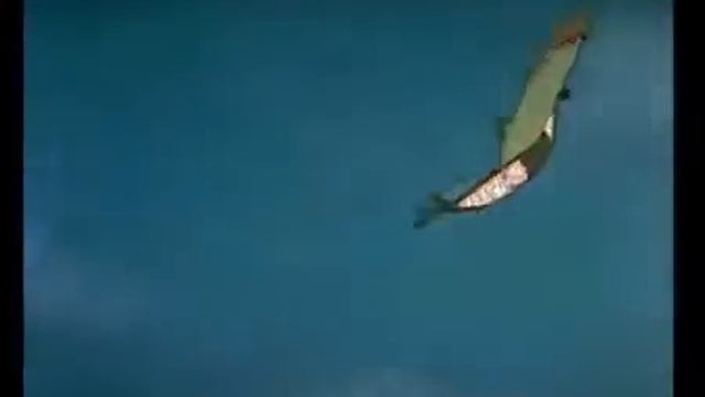 Волшебная птица смотреть онлайн