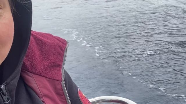 ДОЛГОЖДАННАЯ ПОКУПКА ЯХТЫ смотреть онлайн