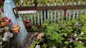 Заброшенное кладбище в Сибири. Могилы, хоз постройки. Раньше здесь была деревня. Отступал Колчак.