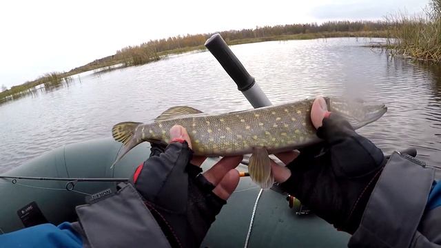 СПИННИНГ НА ТОРФЯНИКАХ. ЩУКА . 22.10.2022 смотреть онлайн