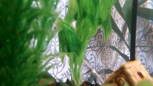 Что делать? Возврат Sony Xperia смотреть онлайн