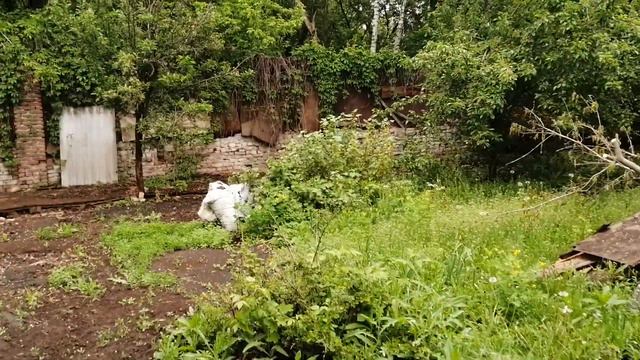 8 соток по ул. Беговая 42 Воронеж смотреть онлайн