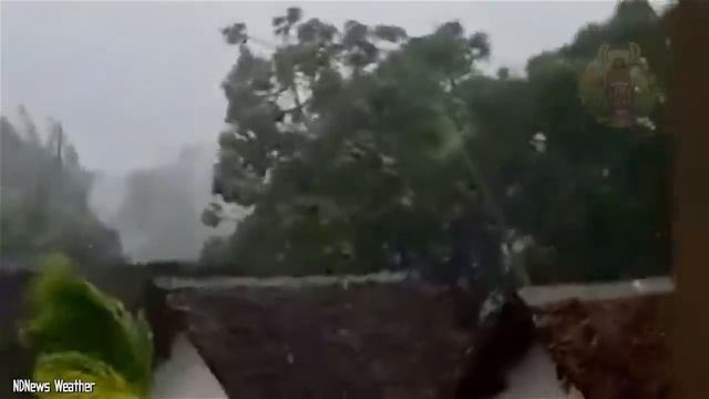 Plus Grands Tsunamis et Vagues Filmés Par Caméra смотреть онлайн