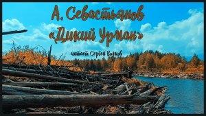 Анатолий Севастьянов "Дикий урман" Часть 2. Аудиокнига. Читает Сергей Волков.
