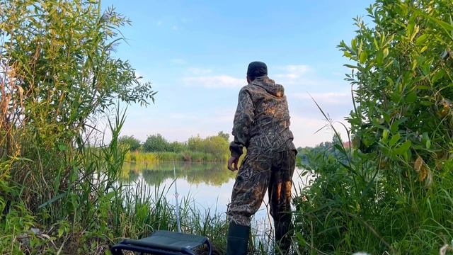 УТРО НА РЫБАЛКЕ. ЗОЛОТОЙ КАРАСЬ смотреть онлайн