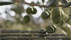 Масло авокадо против оливкового масла. Какое из них полезнее?