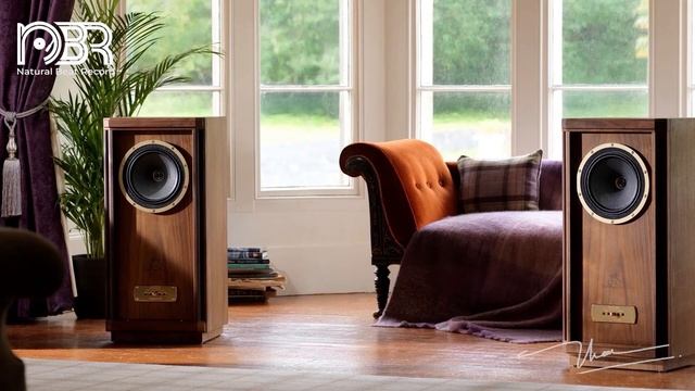 HI Res Audio 24 Bit - Hi End Sound Test - Audiophile NBR Music смотреть онлайн