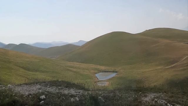 Стих: различные слава смотреть онлайн