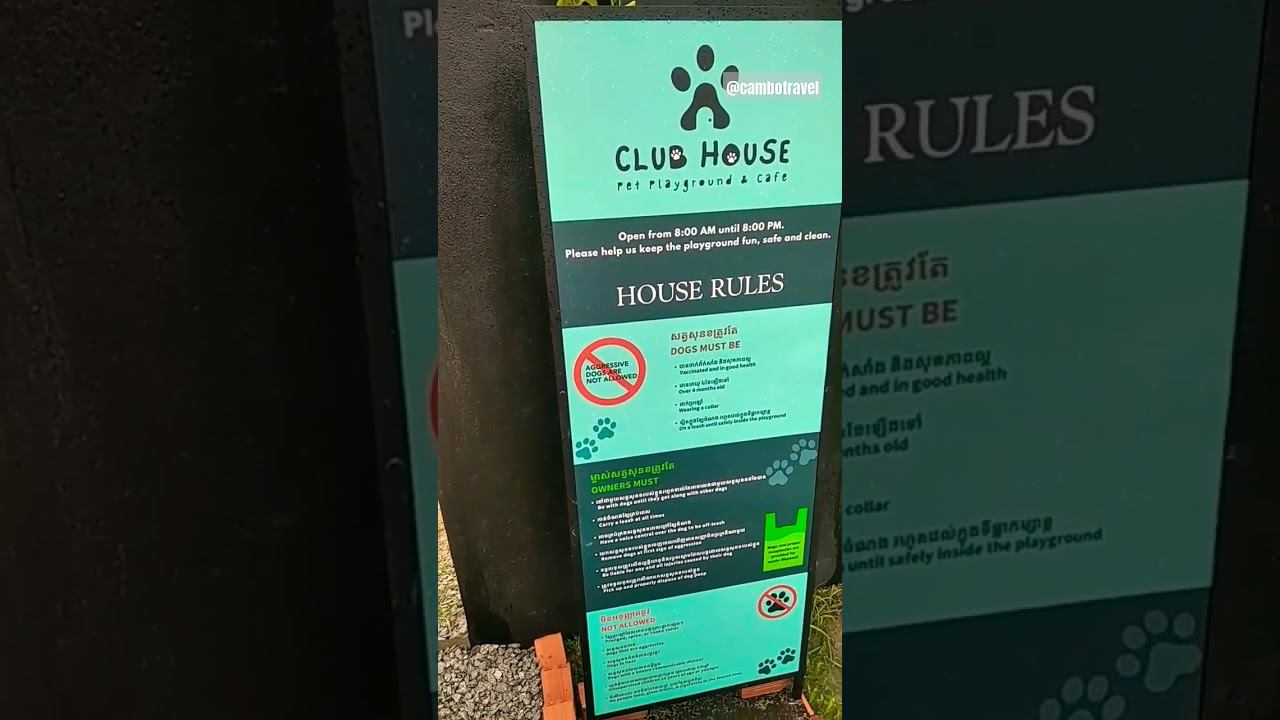 Площадка для выгула собак #камбоджа смотреть онлайн