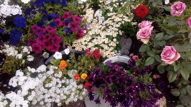 535 Есфирь? смотреть онлайн