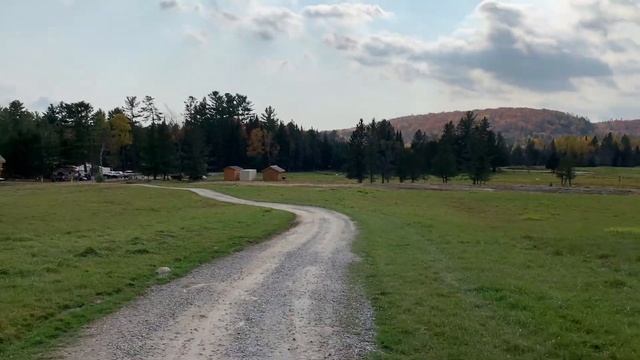 Парк Омега в Квебеке | Парк-сафари с дикими животными в Канаде смотреть онлайн