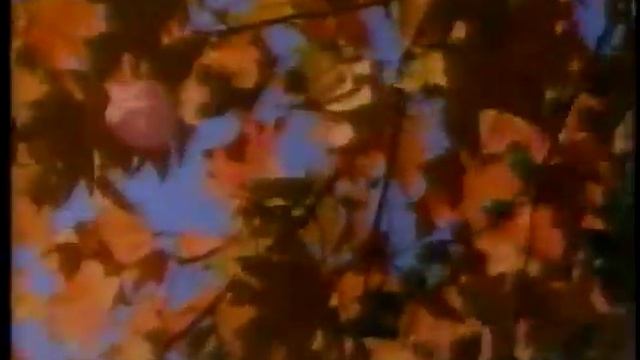 Sesame Street Episode 3272