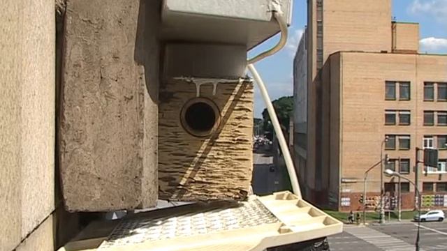 Жадные долго не живут... смотреть онлайн