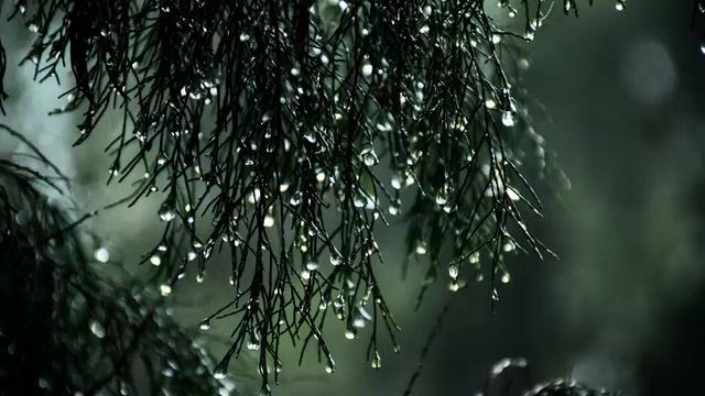 Relaxing Piano Music For Sleep ( Uyqu Uchun Yoqimli Musiqa )